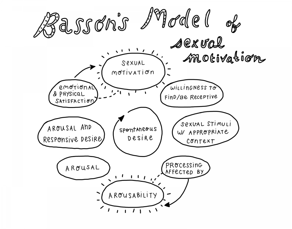 What Basson’s Sexual Response Cycle Teaches Us About Sexuality