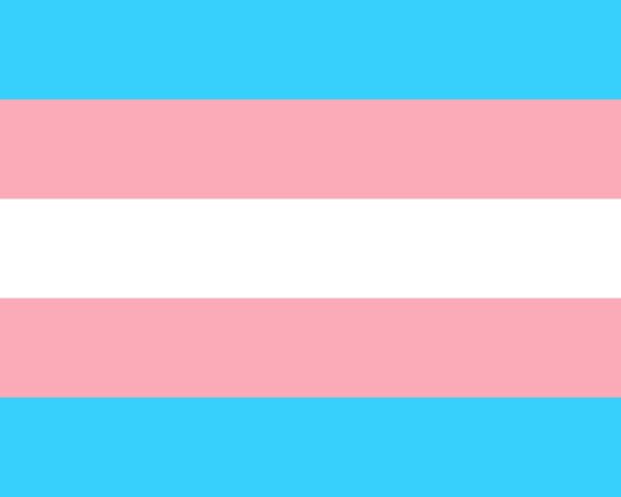 trans, trans flag, transgender