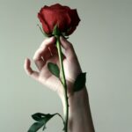 A hand holds a red rose with thorns